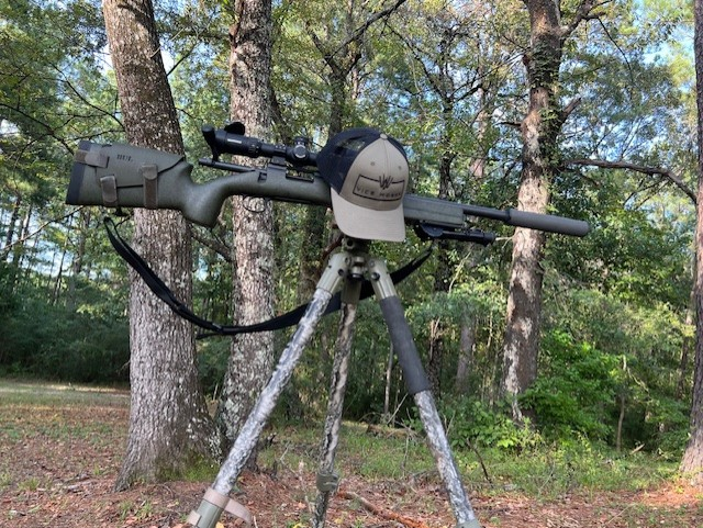 Hunting rifle with scope mounted on tripod in wooded area with trees and green foliage in background